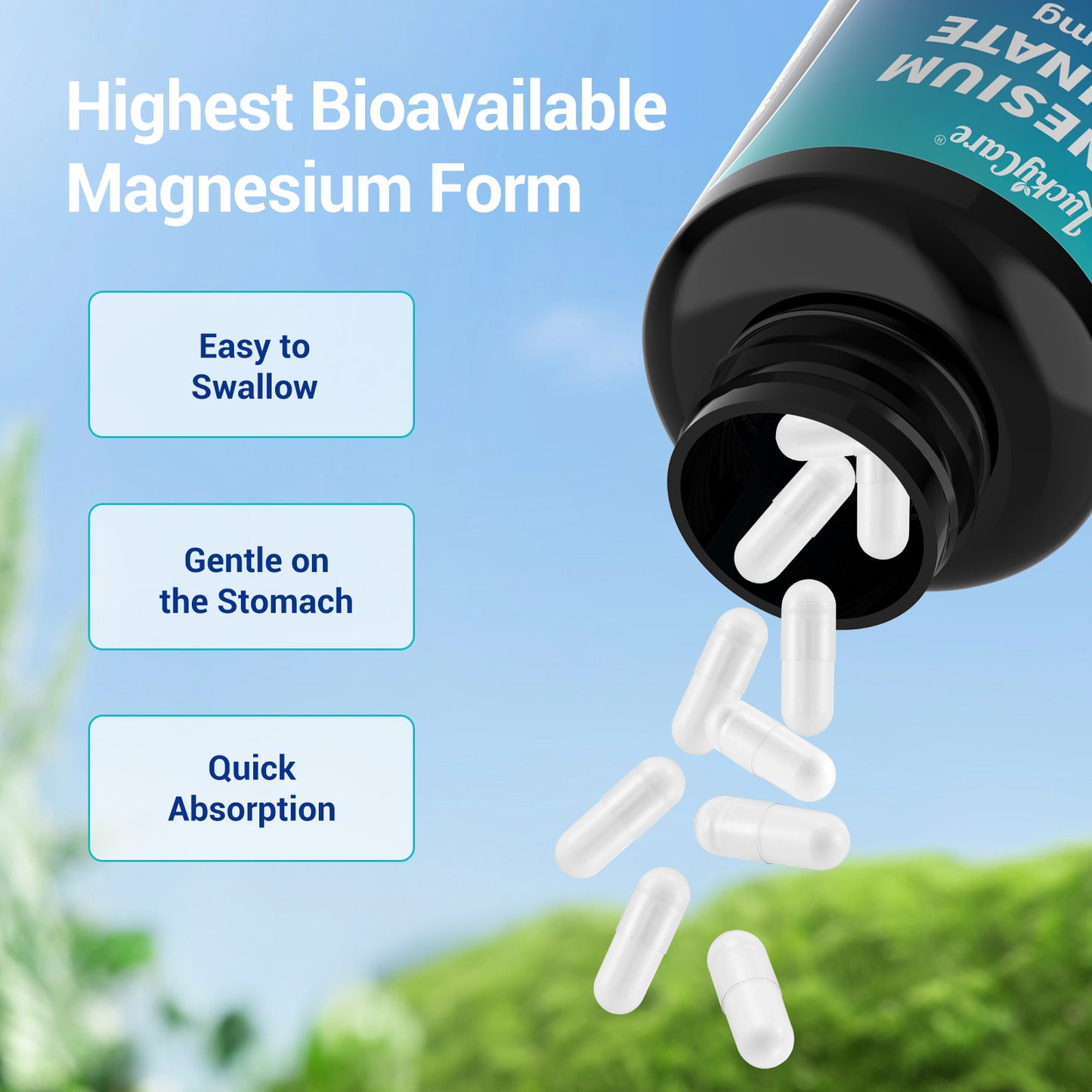 Luckycare Magnesium Glycinate 500mg, 240 Capsules for Sleep, Stress, Relaxation, Nerve, Muscle, Bone, Heart Health Supplement - Edible